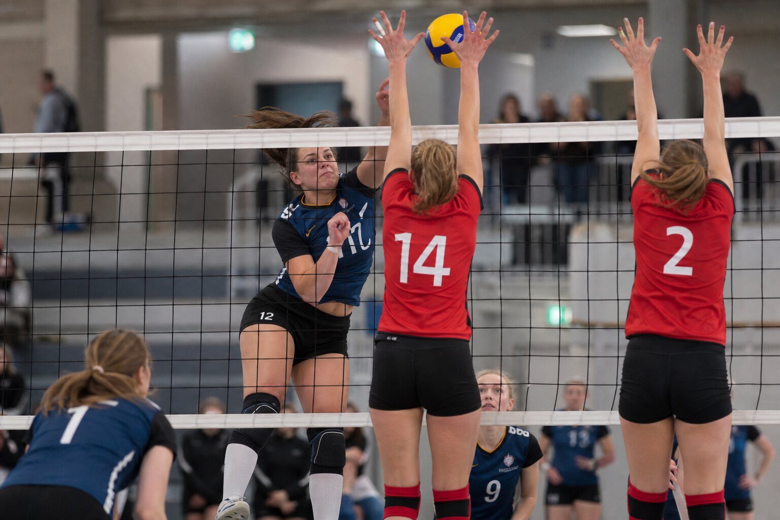 Volleyball